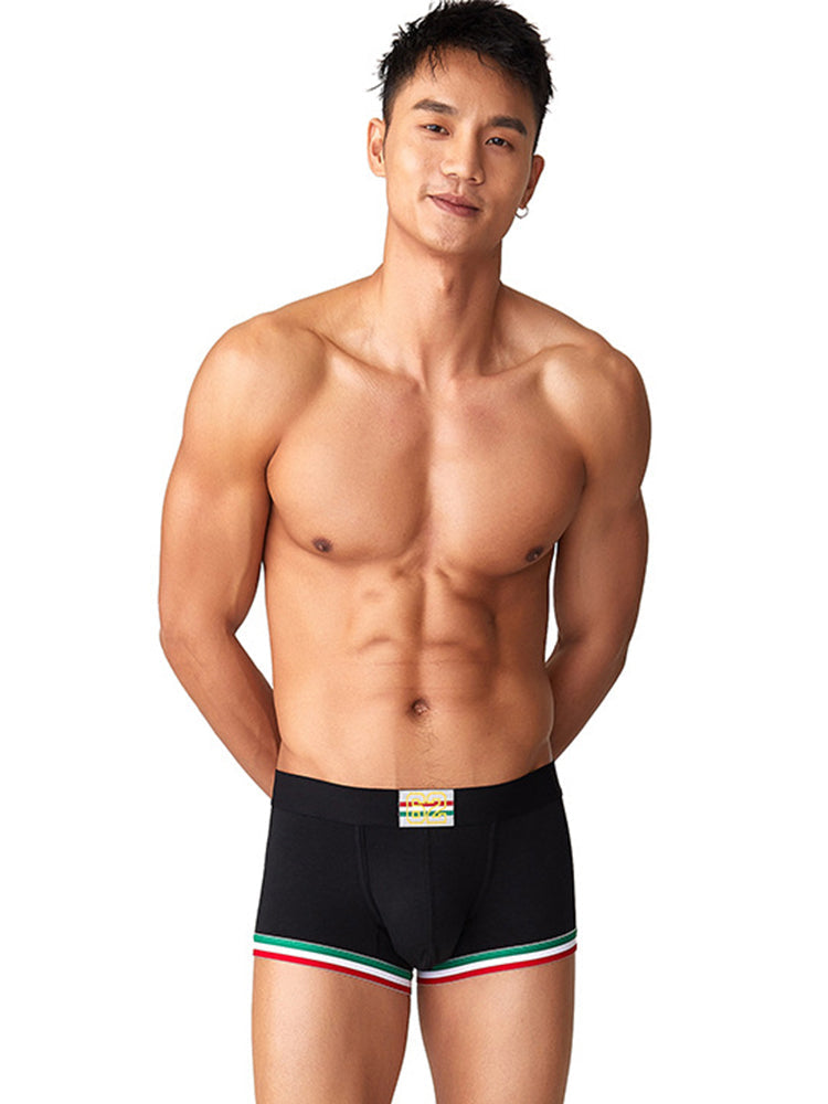 2 Pack Men's Low-Rise Cotton Boxer Briefs