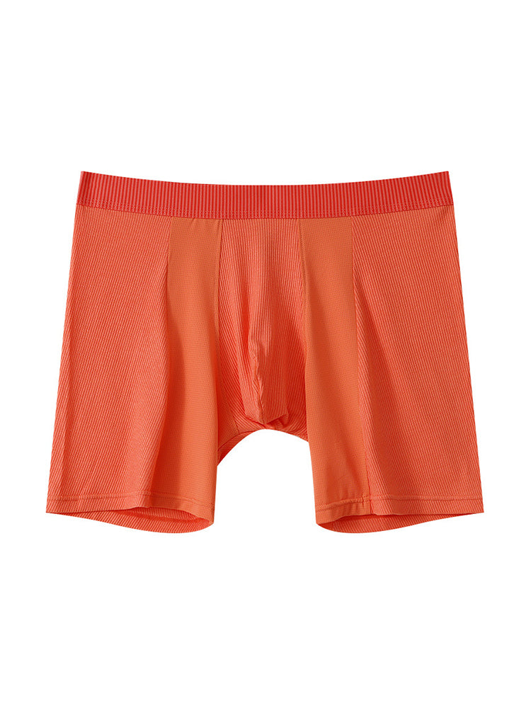 2 Pack Men's Anti-friction Sports Long Nylon Mesh Briefs