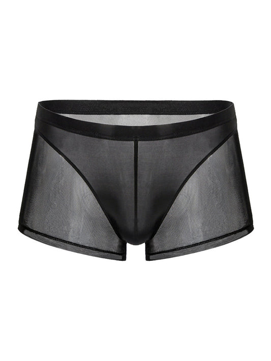 Sexy Panelled Mesh Trunks For Men