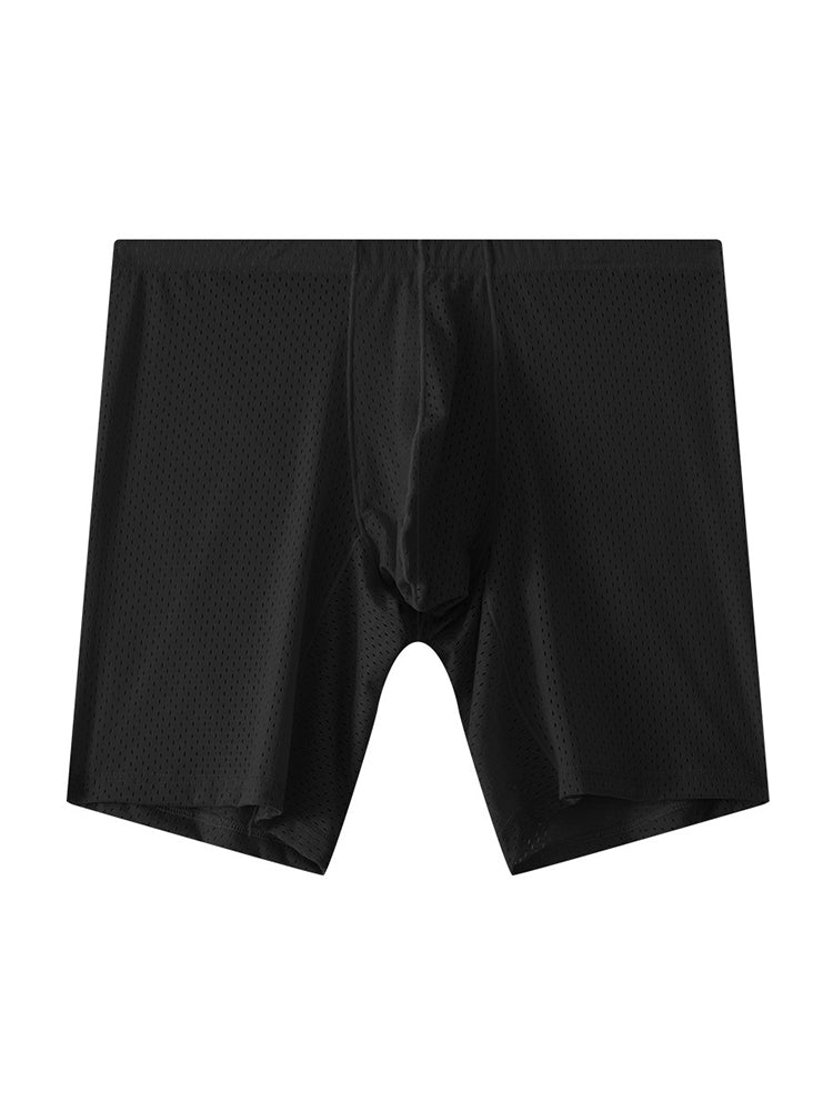 2 Pack Men's Mesh Transparent Sports Fitness Loose Boxer Briefs