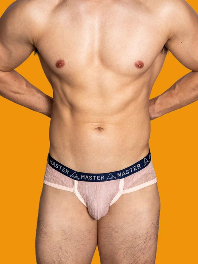 2 Pack Men's Low-Rise Sexy Lace U-Pouch Briefs