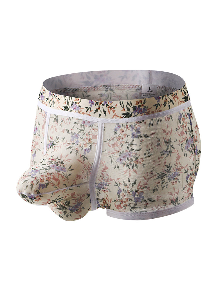 2-pack Men's Mesh Elephant Nose Transparent Boxer Briefs