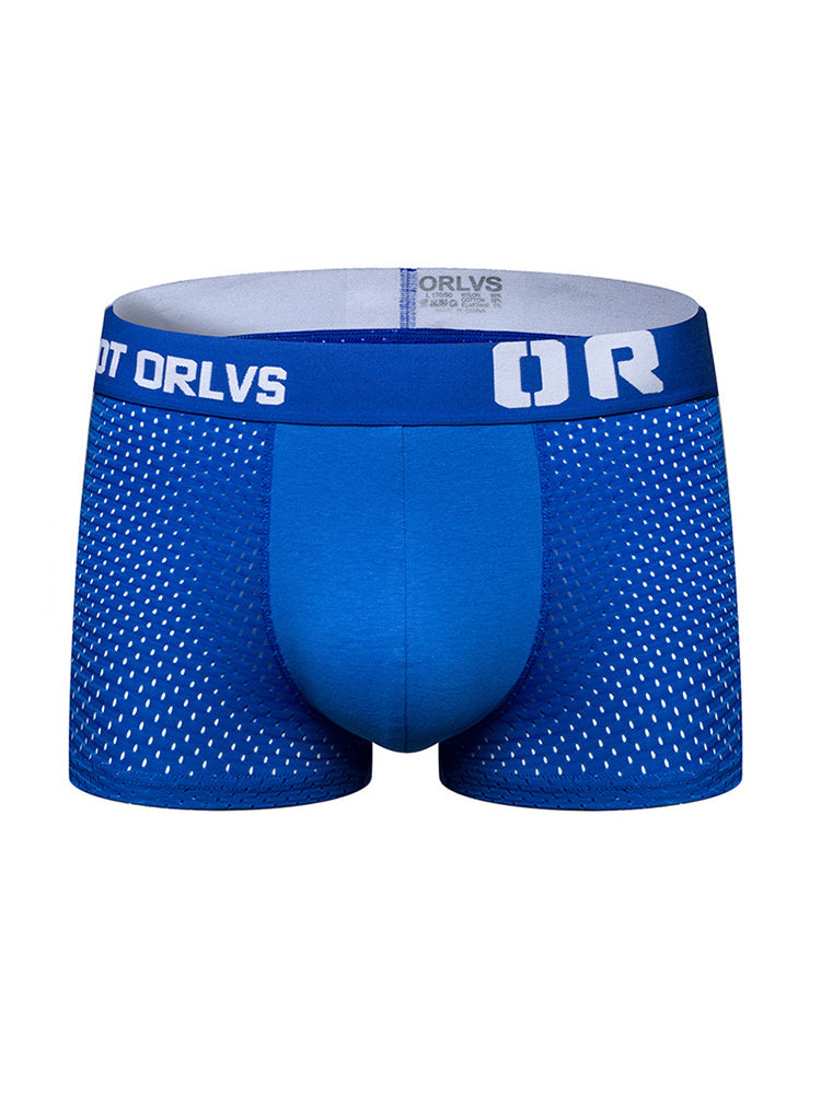 2 Pack Men's Sexy Transparent Seamless Mesh Solid Color Breathable Trunks & Bikini