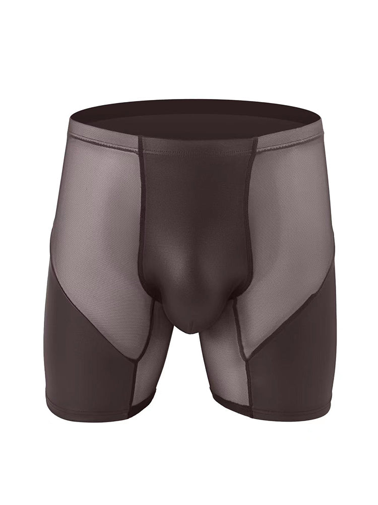 2 Pack Men's Casual Sports Transparent Mesh Midway Briefs