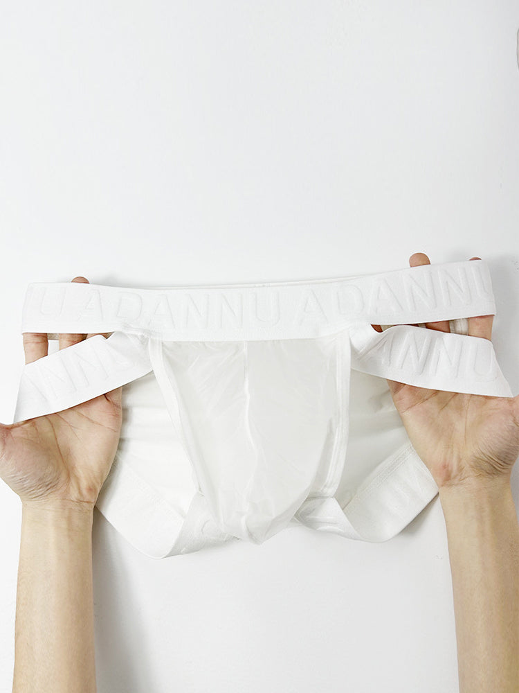 Men's Sheer Double Strap Sexy Bikini