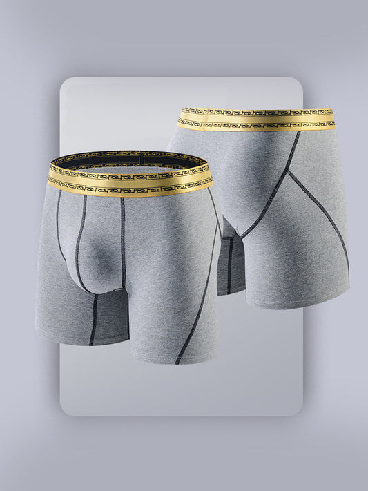 2 Pack Men's Pure Cotton Anti-Chafing Breathable Sports Boxer Briefs