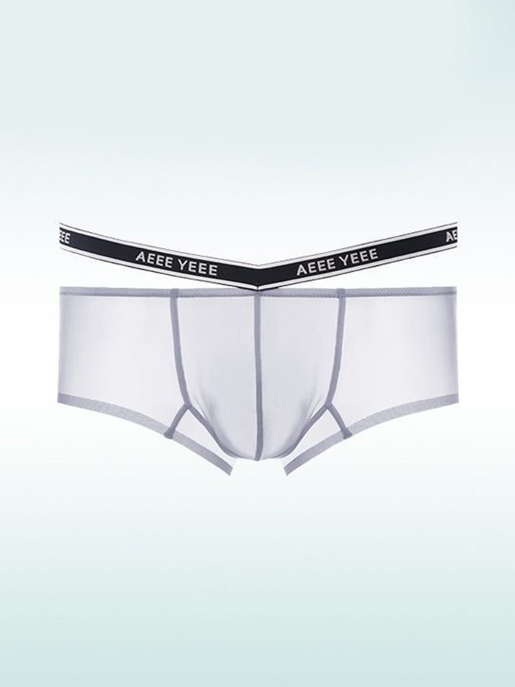 Men's Transparent Ice Silk Waistband Separate Briefs
