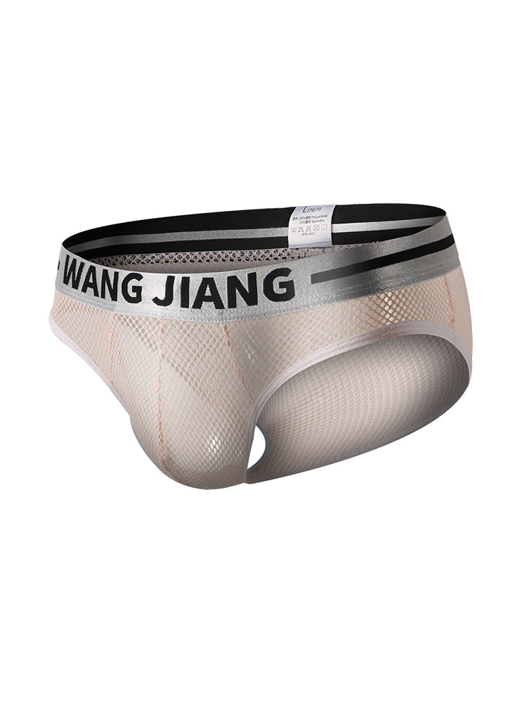2 Pack Men's Sexy Mesh Sheer Briefs with U-Shaped Pocket