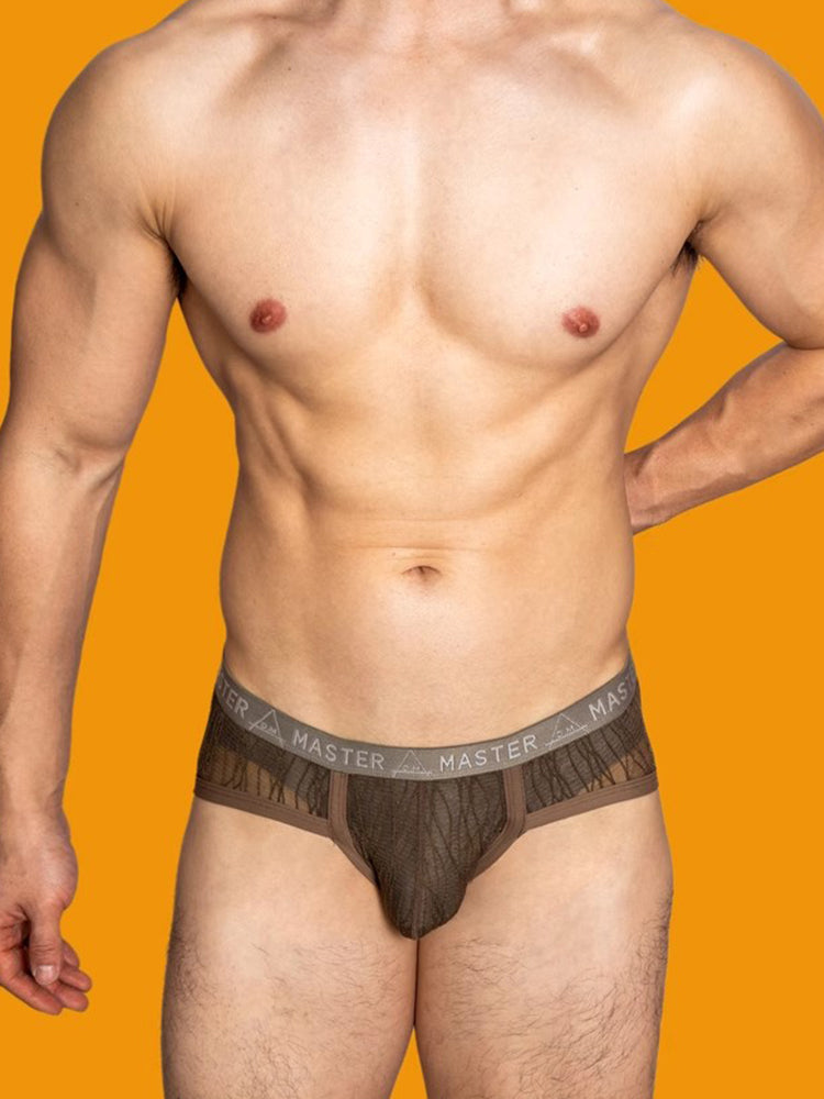 2 Pack Men's Low-Rise Sexy Lace U-Pouch Briefs