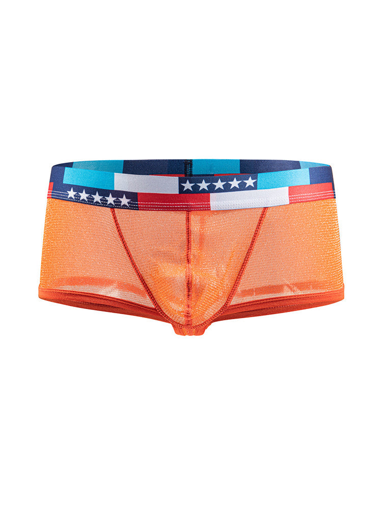 4-pack Men's Low-rise See-through Micro-mesh Pouch Shiny U-convex Wide-edge Boxer Briefs