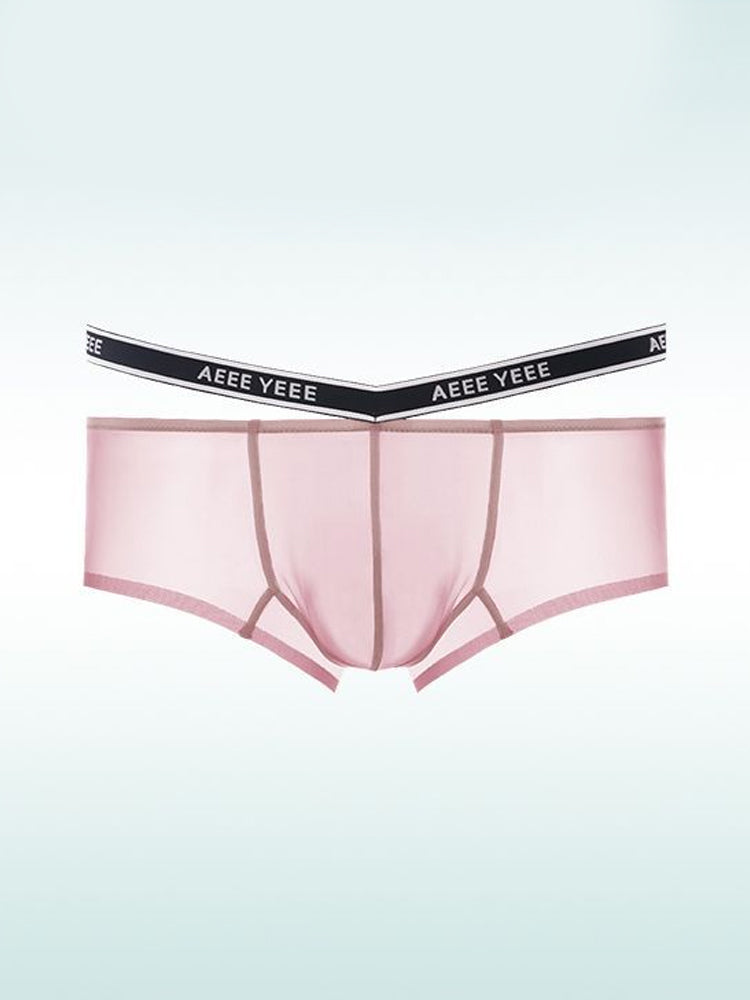 Men's Transparent Ice Silk Waistband Separate Briefs