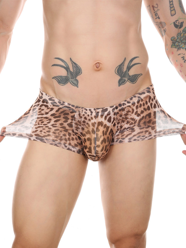 4 Pack Leopard Print See-through Mesh Trunks