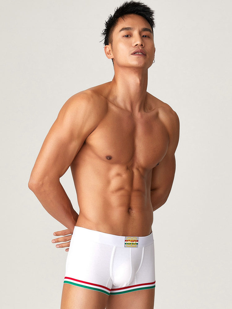 2 Pack Men's Low-Rise Cotton Boxer Briefs