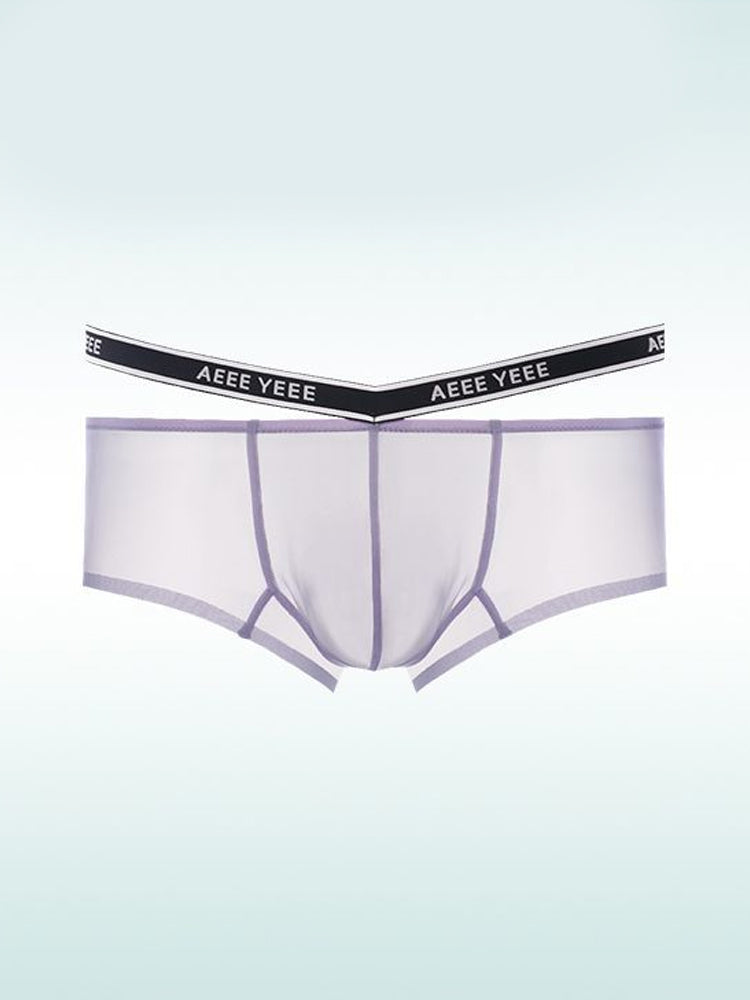 Men's Transparent Ice Silk Waistband Separate Briefs
