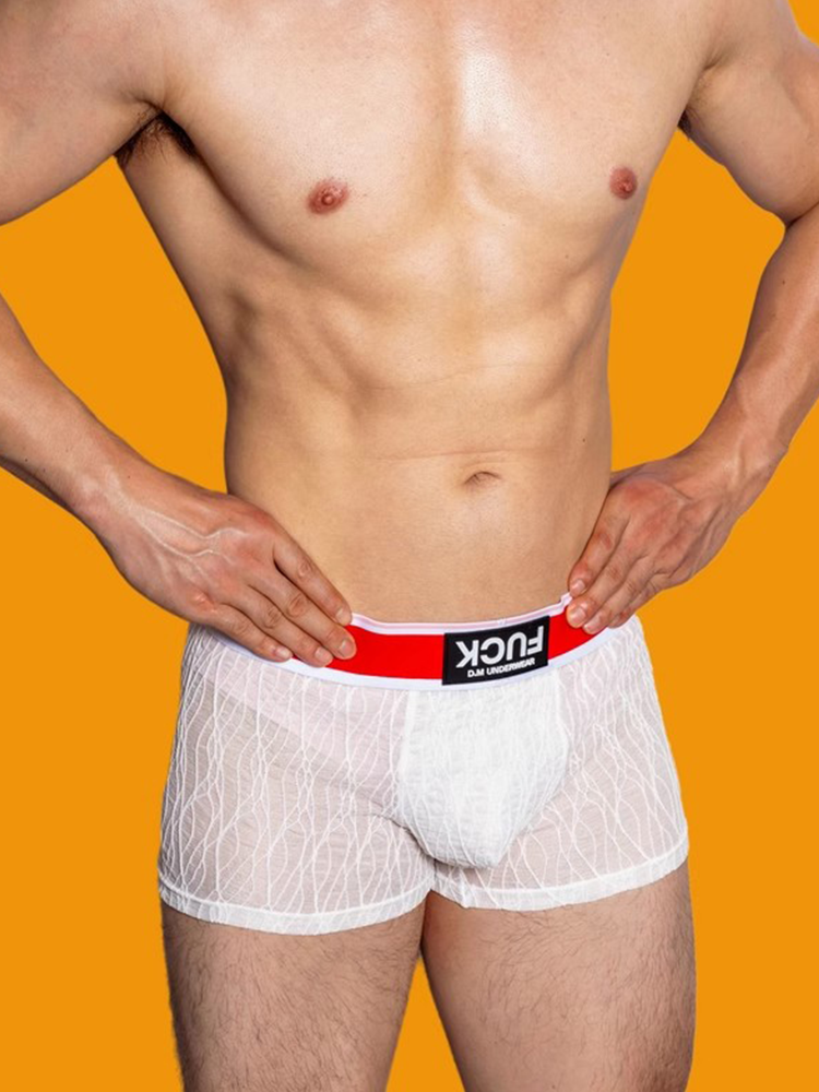 3 Pack Men's Lace Mesh Quick-Drying Breathable Solid Color Trunks