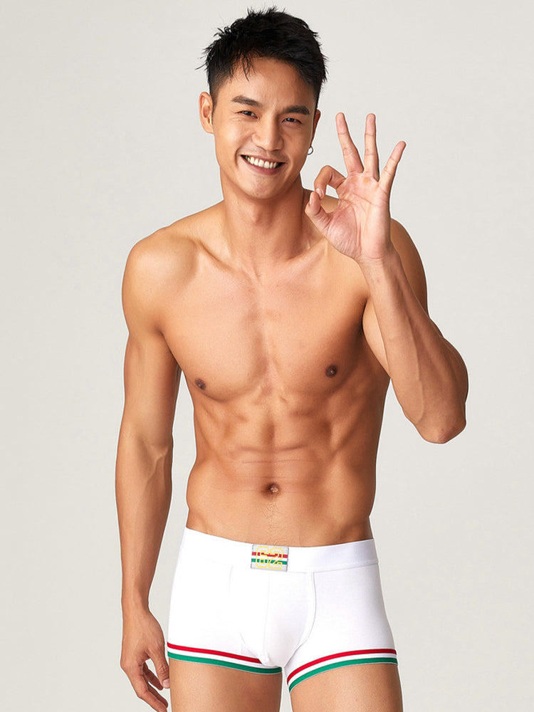 2 Pack Men's Low-Rise Cotton Boxer Briefs