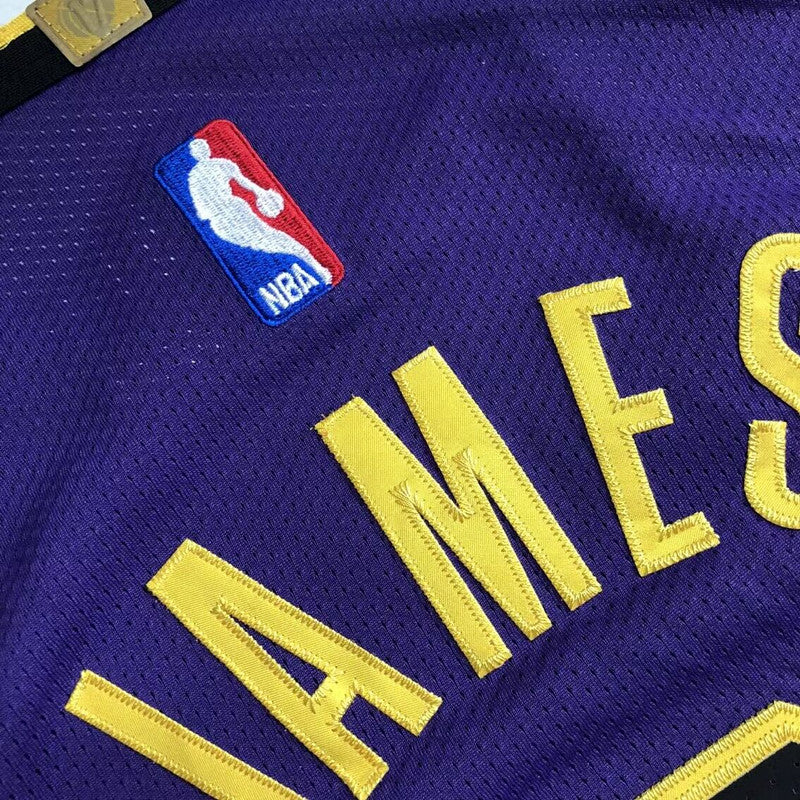 Men’s Los Angeles Lakers 2023 #6 Lebron James Player Edition Purple Jersey
