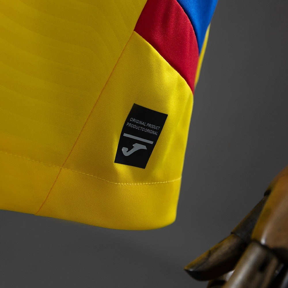 Men’s Romania 2026 Home Fan Version Jersey S-4XL