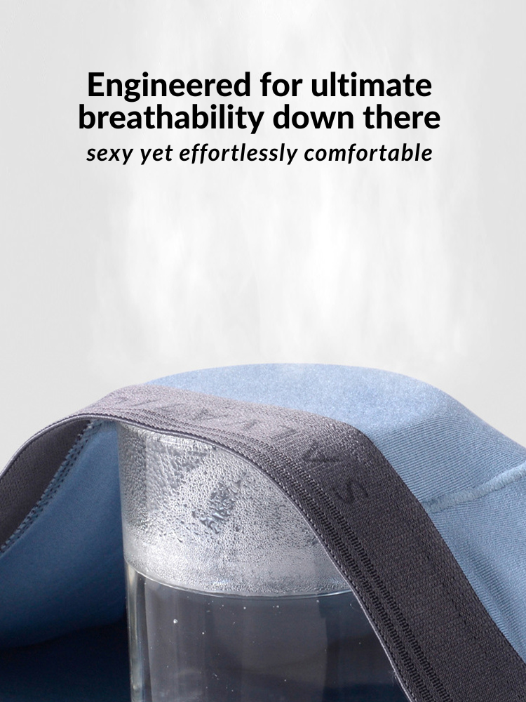 2 Pack Men's Anti-Bacterial Modal Trunks