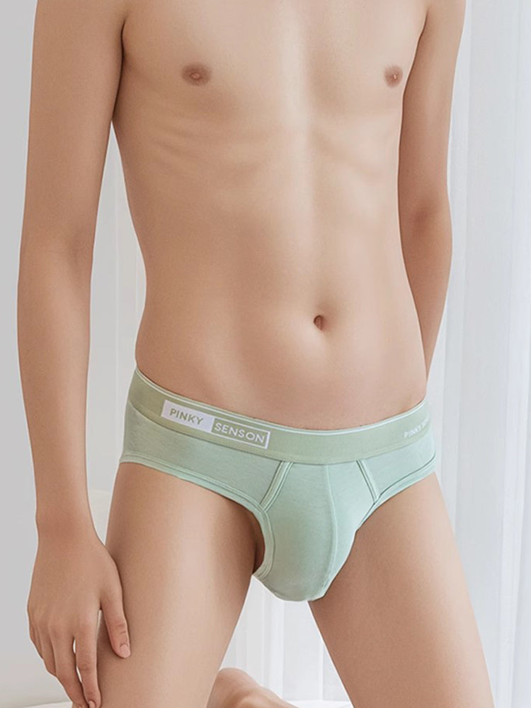 4 Pack Men's Modal Skin-Friendly Solid Color Mid-Rise Briefs