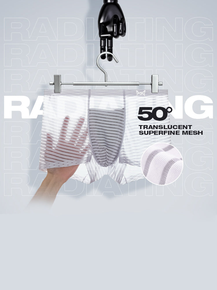 2 Pack Silk Striped Men's Super Thin Underwear