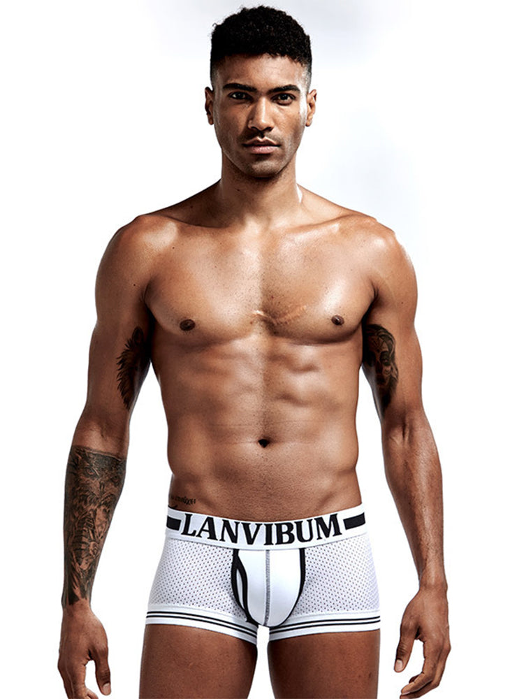 4 Pack Men's Mesh Breathable Quick-Dry Sexy Nylon Trunks