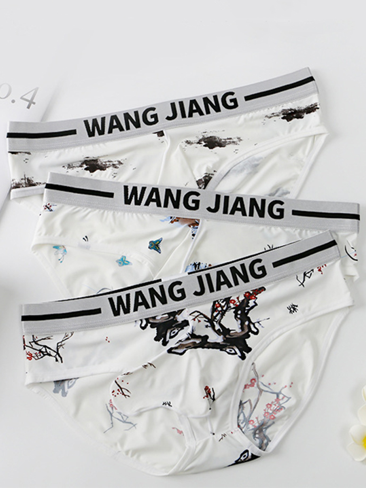 3 Pack Men's Ice Silk Dual Pouch Briefs