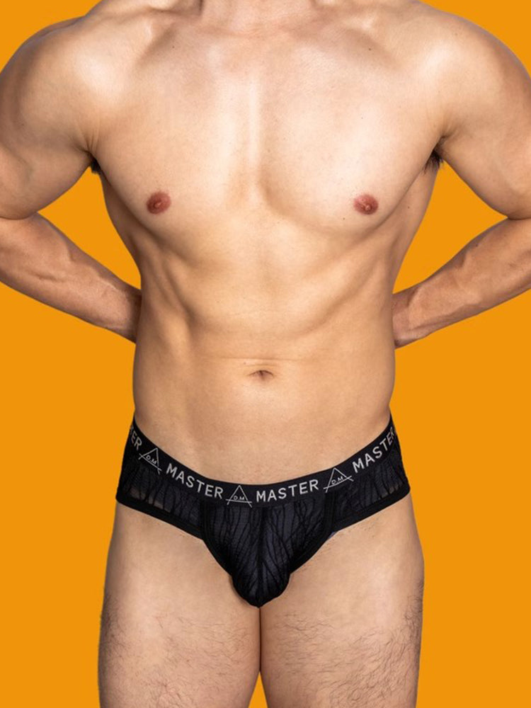 2 Pack Men's Low-Rise Sexy Lace U-Pouch Briefs