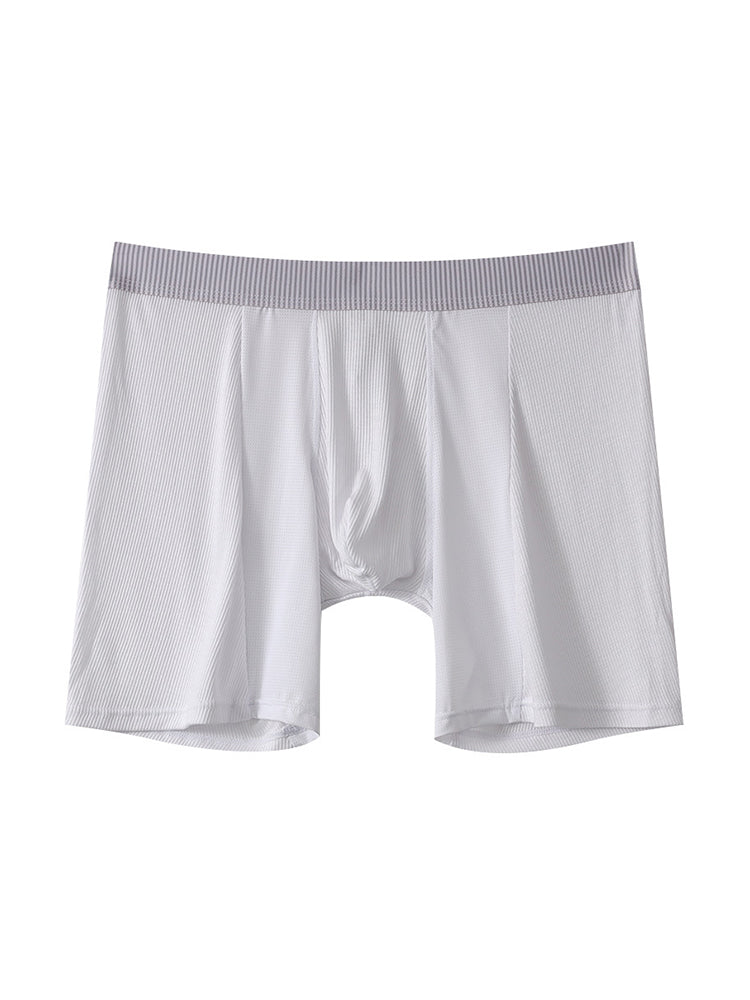 2 Pack Men's Anti-friction Sports Long Nylon Mesh Briefs