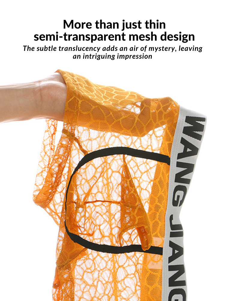 2 Pack Men's Ice Silk Lace Solid Sexy Trunks