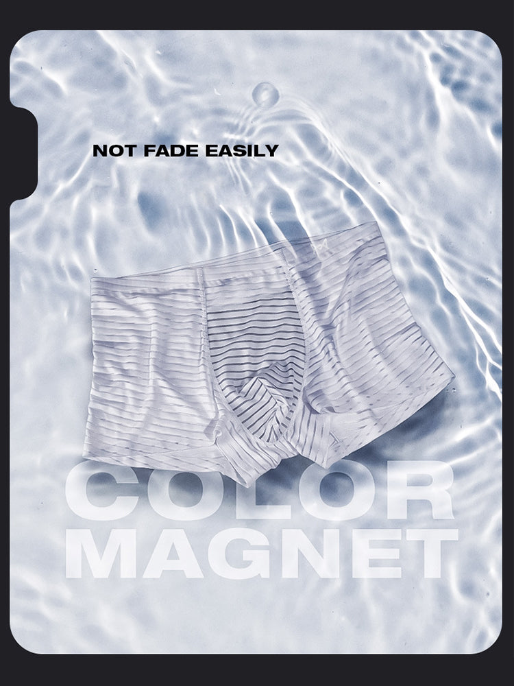 2 Pack Silk Striped Men's Super Thin Underwear