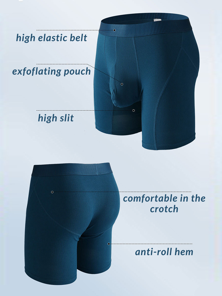 2 Pack Men's Casual Ice Silk Midway Briefs