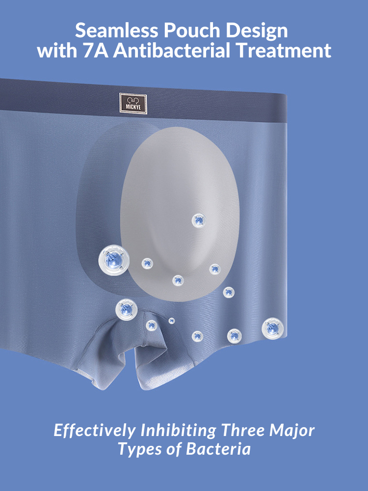 4 Pack Men's Seamless Antibacterial Boxers Briefs