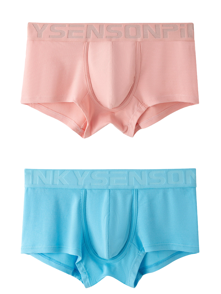 2 Pack Men's Breathable U Pouch Modal Trunks