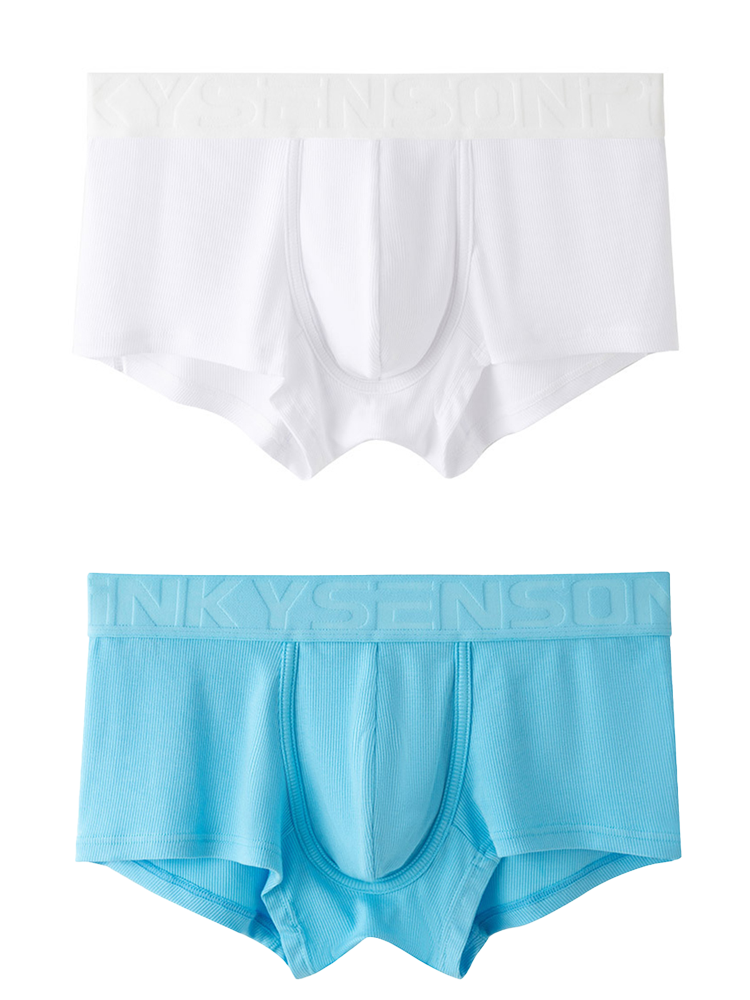 2 Pack Men's Breathable U Pouch Modal Trunks