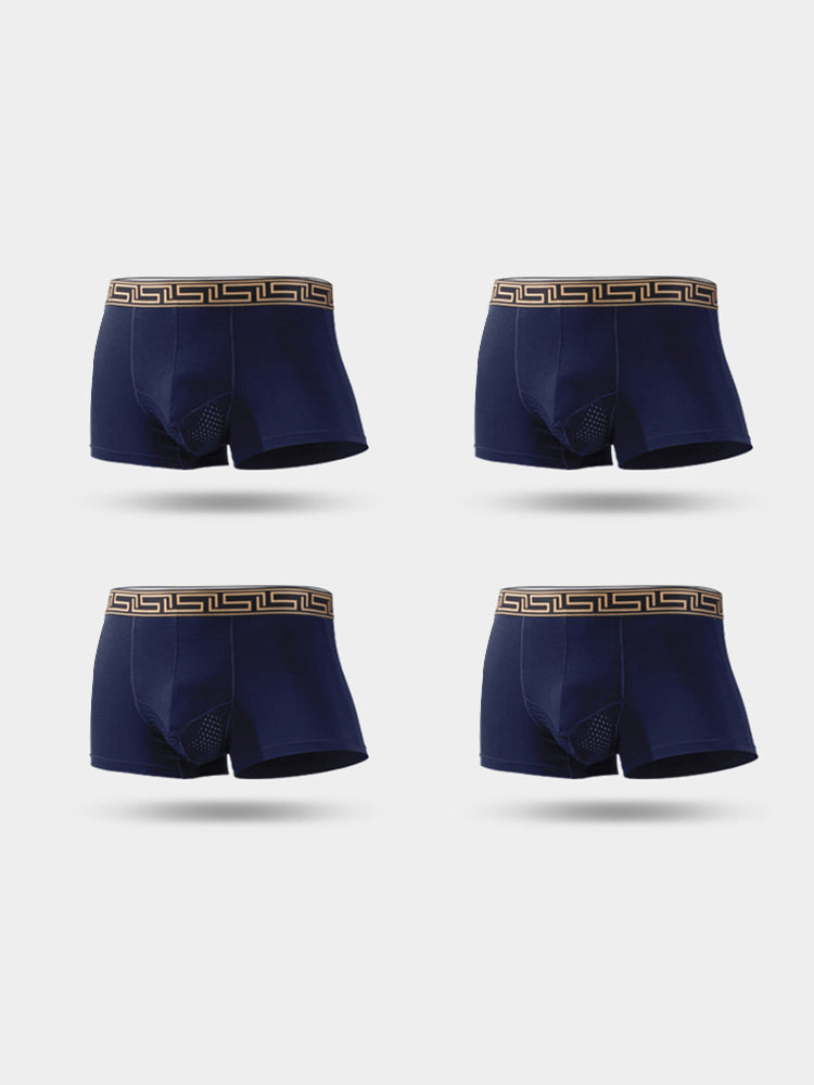 4 Pack Men's Athletic Mesh Pouch Trunks