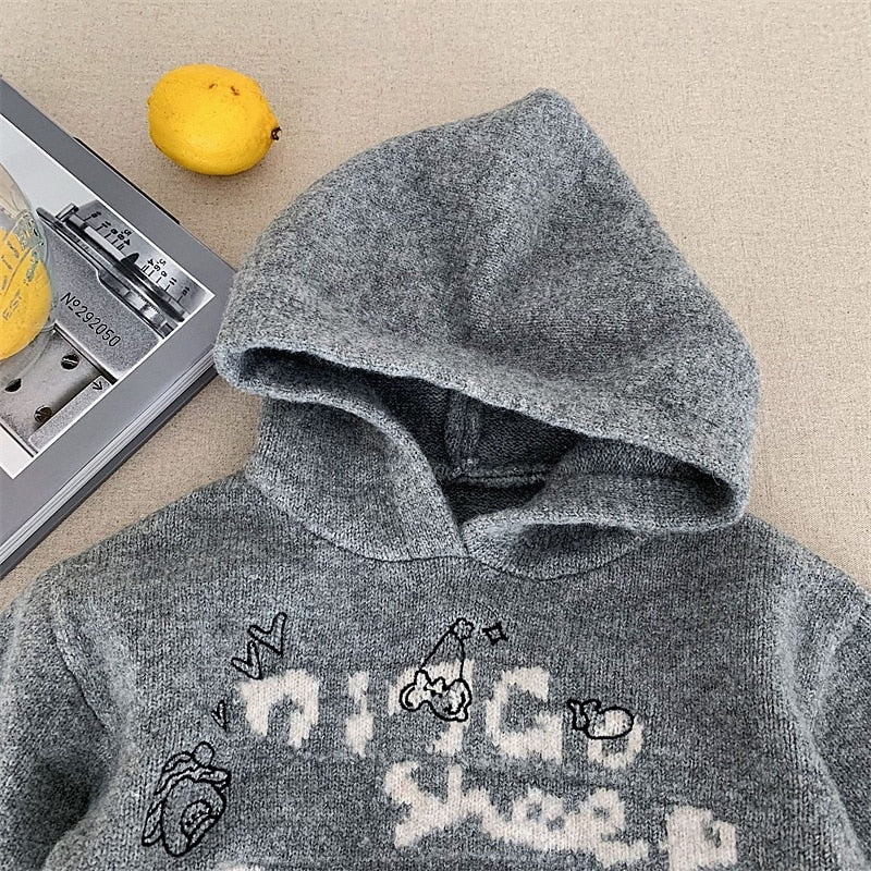 Kids Boys' Graphic Pullover Sweater, Long Sleeve, Warm Outdoor Fashion Top, Gray, Fall/Winter, 4 Years+