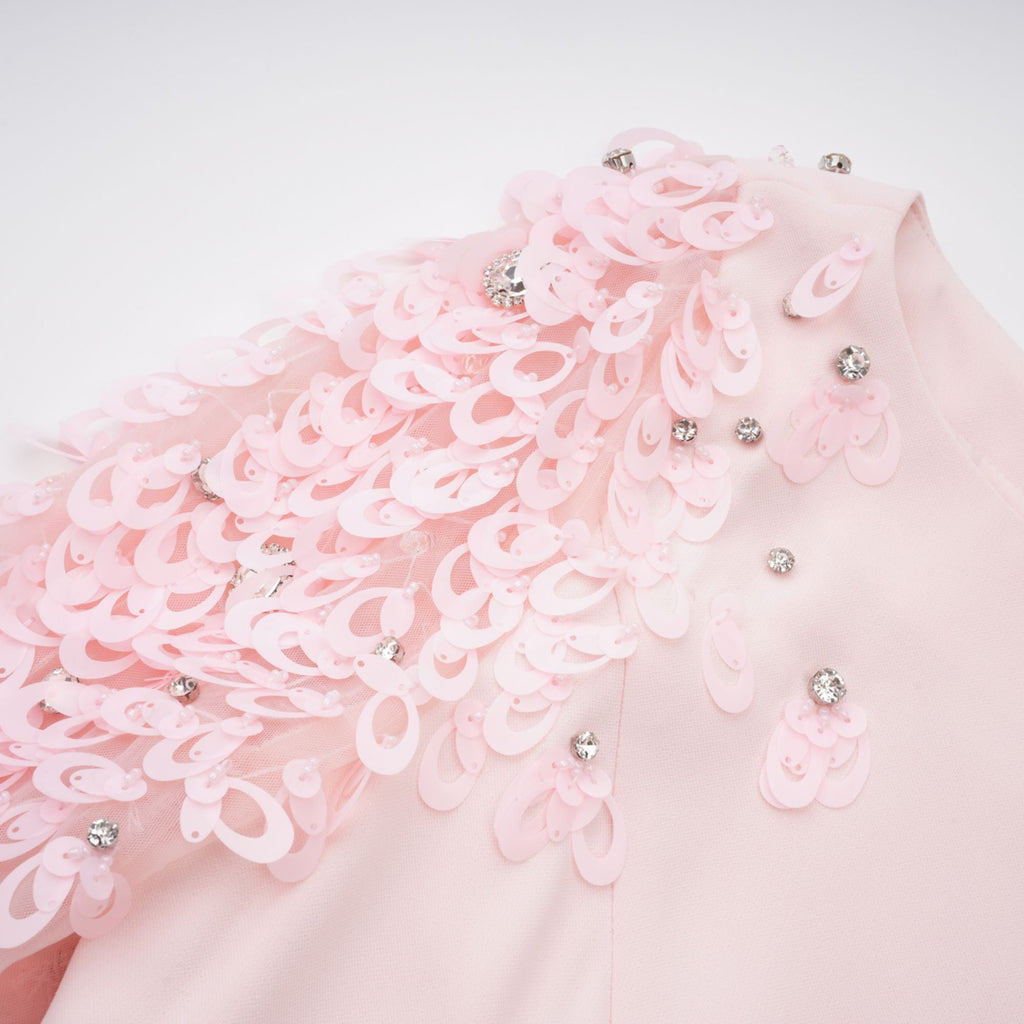 Gunnel Pink Flared Embellished Maxi Gown