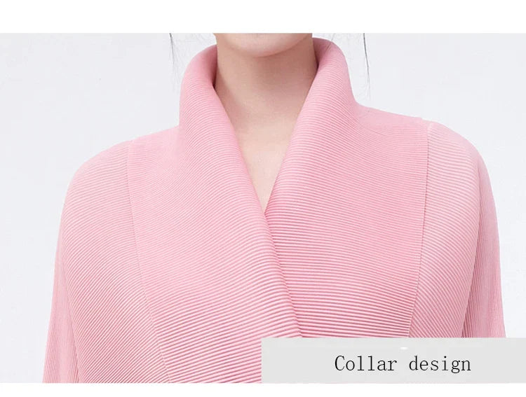 Elegant 2 Piece Pleated Skirt Outfit Set