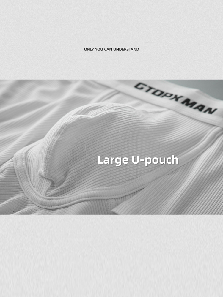 2-Pack Men's Threaded Design Breathable Comfort Low-Rise Thin U-convex Briefs