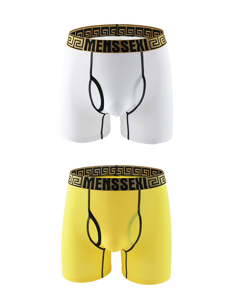 2 Pack Men's Sexy Sports Ice Silk Boxer Briefs