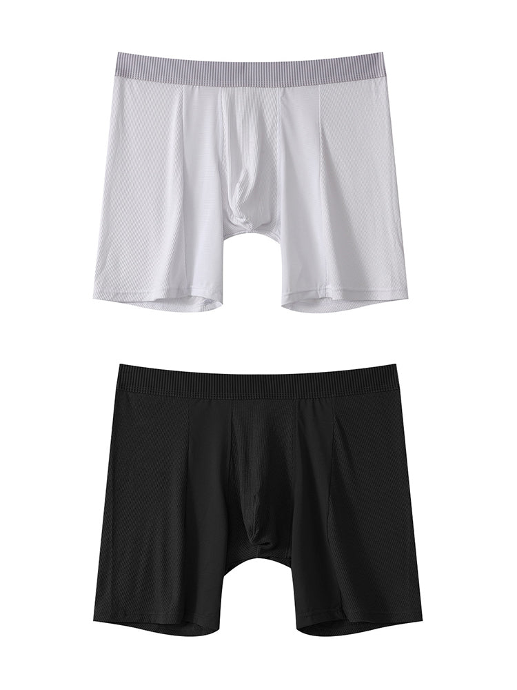 2 Pack Men's Anti-friction Sports Long Nylon Mesh Briefs