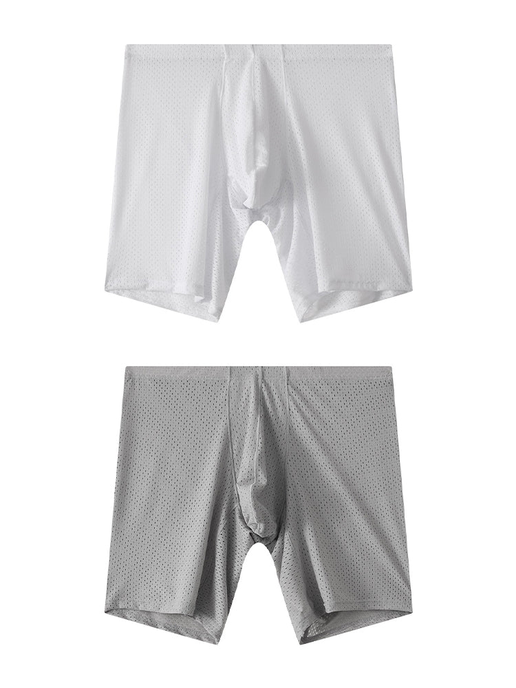 2 Pack Men's Mesh Transparent Sports Fitness Loose Boxer Briefs