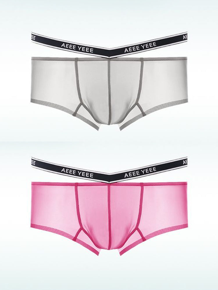Men's Transparent Ice Silk Waistband Separate Briefs