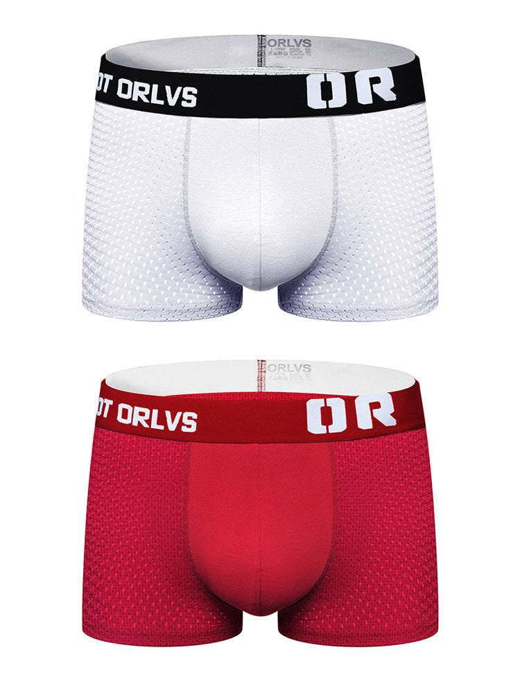 2 Pack Men's Sexy Transparent Seamless Mesh Solid Color Breathable Trunks & Bikini