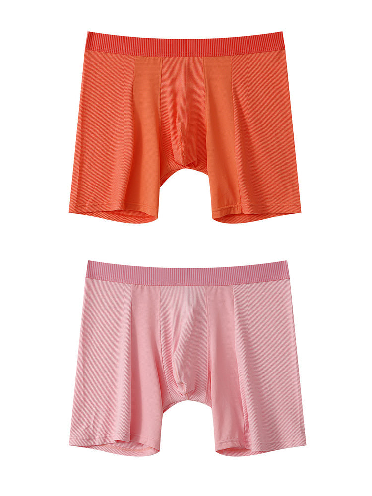 2 Pack Men's Anti-friction Sports Long Nylon Mesh Briefs