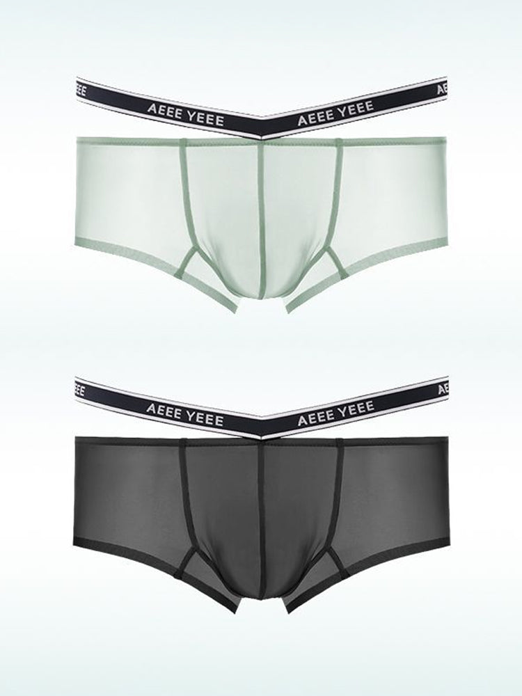 Men's Transparent Ice Silk Waistband Separate Briefs