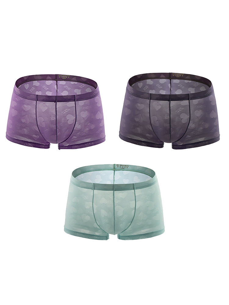 3- Pack Men's Sexy Heart Mesh Trunks