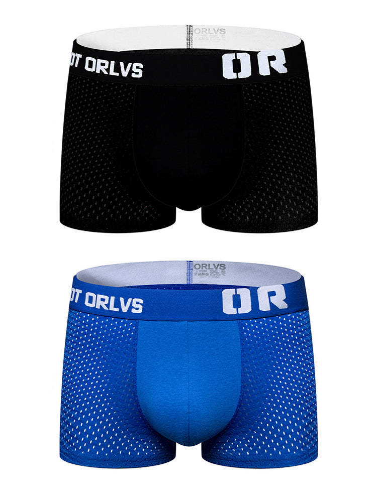 2 Pack Men's Sexy Transparent Seamless Mesh Solid Color Breathable Trunks & Bikini