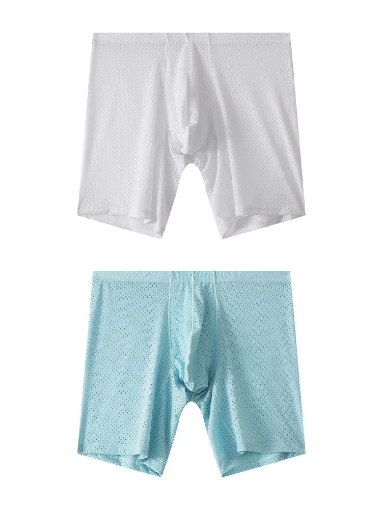 2 Pack Men's Mesh Transparent Sports Fitness Loose Boxer Briefs